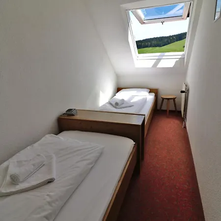 Apartment 16 - Ferienresidenz Roseneck, Galeriewohnung, Mit Schwimmbad In Todtnauberg Bei Feldberg Eksteriør billede
