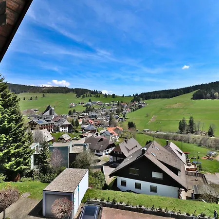 Apartment 16 - Ferienresidenz Roseneck, Galeriewohnung, Mit Schwimmbad In Todtnauberg Bei Feldberg Eksteriør billede