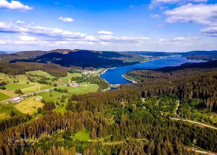Apartment 16 - Ferienresidenz Roseneck, Galeriewohnung, Mit Schwimmbad In Todtnauberg Bei Feldberg
