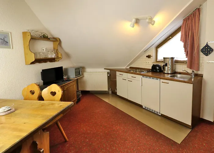 Apartment 16 - Ferienresidenz Roseneck, Galeriewohnung, Mit Schwimmbad In Todtnauberg Bei Feldberg