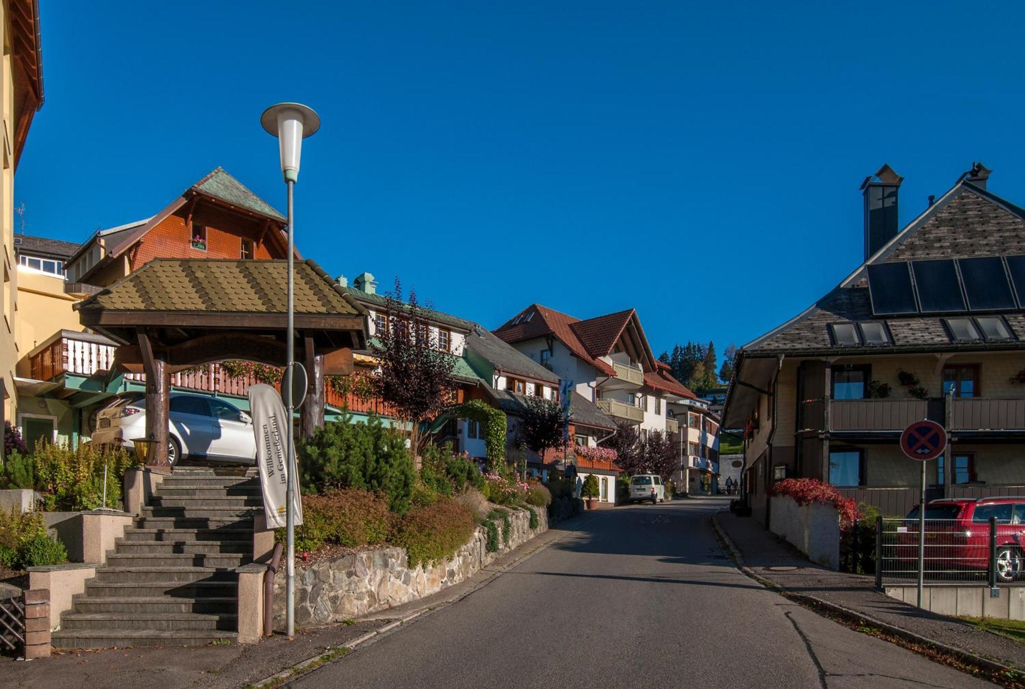 Apartment 16 - Ferienresidenz Roseneck, Galeriewohnung, Mit Schwimmbad In Bei Feldberg Todtnauberg
