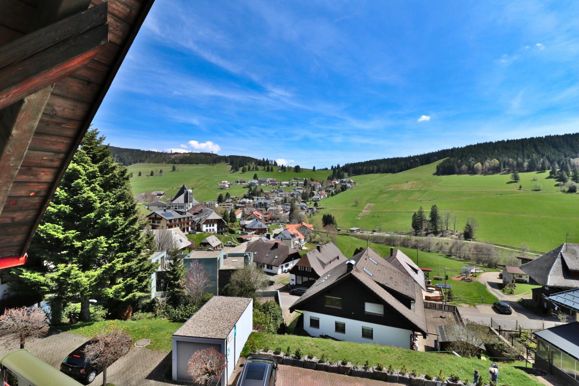 16 - Ferienresidenz Roseneck, Galeriewohnung, Mit Schwimmbad In Bei Feldberg